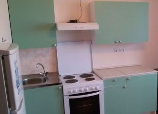 Сдам квартиру студию, 25 м2, Мурино, проспект Авиаторов Балтики, 7, ЖК Виктория