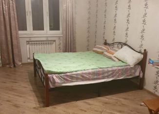 1-ком. квартира в аренду, 44 м2, посёлок фабрики имени 1 Мая, посёлок Фабрики имени 1 Мая, 12