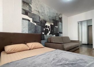 Аренда квартиры студии, 32.7 м2, Екатеринбург, улица Азина, 22/2, ЖК Мельница