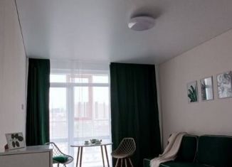 Сдаю в аренду квартиру студию, 32 м2, Пермь, улица Революции, 2А, Свердловский район