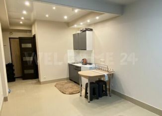 Продажа квартиры студии, 24 м2, Анапа, Крестьянская улица, 27к4