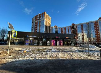 Помещение свободного назначения на продажу, 28.8 м2, Мурино, Оборонная улица, 35