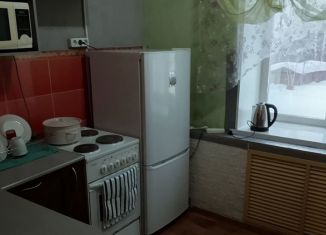 Двухкомнатная квартира в аренду, 48 м2, Чусовой, Известковая улица, 3Б