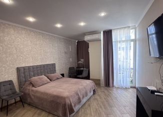 Сдам в аренду квартиру студию, 25 м2, Сочи, Депутатская улица, 10