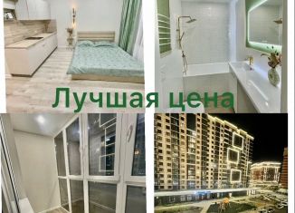 Продается квартира студия, 27 м2, Краснодар, улица Западный Обход, 39/1к6, улица Западный Обход