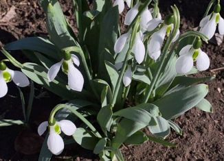 Продам земельный участок, 10 сот., Ейск, Театральная площадь