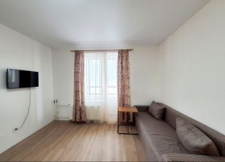 Аренда квартиры студии, 25 м2, Колпино, проспект Ленина, 60, ЖК Астрид
