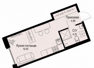 Квартира на продажу студия, 24.9 м2, Санкт-Петербург, метро Чёрная речка