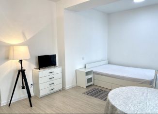 Сдаю квартиру студию, 28 м2, Северодвинск, улица Ломоносова, 79к4