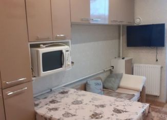 Продается однокомнатная квартира, 27 м2, посёлок Голубево, Изумрудная улица, 11