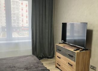 Аренда 1-ком. квартиры, 39 м2, Великий Новгород, Псковская улица, 70к1