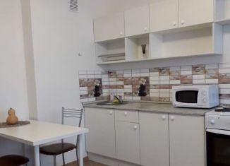 Сдается квартира студия, 30 м2, Екатеринбург, улица Чайковского, 86В