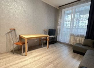 Сдаю в аренду квартиру студию, 24 м2, Кудрово, Английская улица, 2