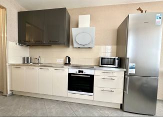 Однокомнатная квартира в аренду, 43.3 м2, Екатеринбург, улица Циолковского, 27, ЖК Премьер