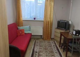 Сдаю в аренду квартиру студию, 19 м2, Екатеринбург, Утренний переулок, 7
