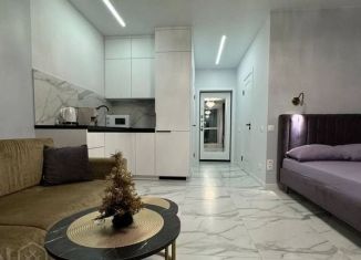 Продам квартиру студию, 24.9 м2, Краснодар, улица им. Героя Яцкова И.В., 9к3, микрорайон Губернский