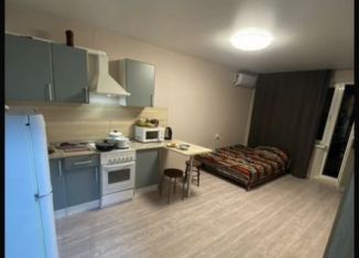 Сдается квартира студия, 27 м2, Ростов-на-Дону, Художественная улица, 9, ЖК Платовский