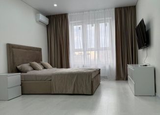 Сдам в аренду 1-комнатную квартиру, 47 м2, Краснодар, улица имени Дзержинского, 95, Западный округ