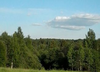 Продаю участок, 20 сот., деревня Шитьково