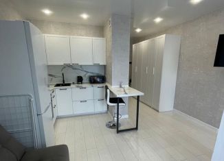 Квартира в аренду студия, 31 м2, Екатеринбург, улица Щербакова, 76