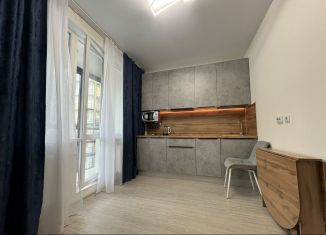 Сдаю в аренду квартиру студию, 20 м2, посёлок Шушары, Старорусский проспект, 5к1