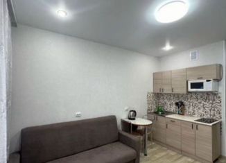 Сдаю в аренду квартиру студию, 24 м2, Обь, Октябрьская улица, 5