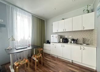 Продам квартиру студию, 25.3 м2, Кудрово, Пражская улица, 9