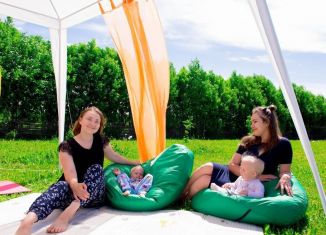 Сдача в аренду таунхауса, 25 м2, Ленинградская область, деревня Синковицы, 1