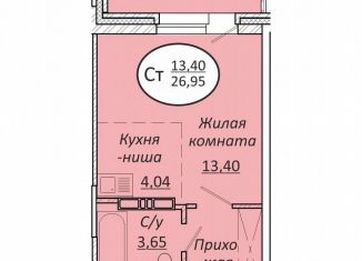 Продается квартира студия, 27 м2, Новосибирск, Октябрьский район