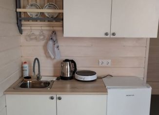 Квартира в аренду студия, 14 м2, сельский посёлок Новинки, СНТ Колос, 98