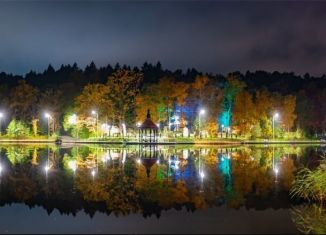 Квартира на продажу студия, 24 м2, Светлогорск