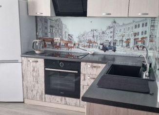 Сдаю однокомнатную квартиру, 43.5 м2, Череповец, улица Раахе, 60Б