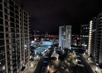 Сдается в аренду 1-ком. квартира, 50 м2, Краснодар, улица имени Дзержинского, 95, Западный округ