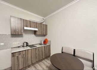 Сдача в аренду квартиры студии, 23 м2, Мурино, Петровский бульвар, 14к3, ЖК Краски Лета
