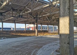 Продаю помещение свободного назначения, 8000 м2, деревня Неёлово-1, Юбилейная улица, 1В