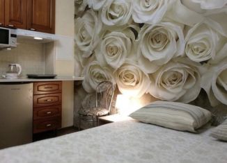 Сдается в аренду квартира студия, 20 м2, Екатеринбург, улица Циолковского, 27