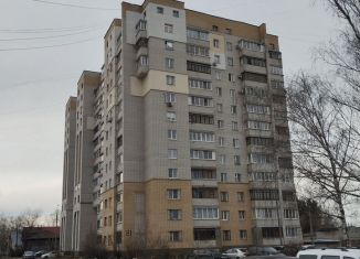 1-ком. квартира на продажу, 39.9 м2, Нижний Новгород, улица Свободы, метро Буревестник