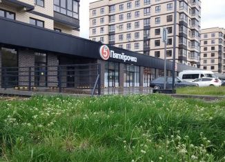 1-комнатная квартира на продажу, 41.1 м2, Горячий Ключ, улица Ярославского, 111Б