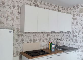 Аренда 1-комнатной квартиры, 36 м2, Энгельс, улица Пушкина, 87