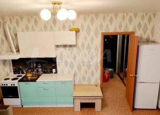 Продам квартиру студию, 26.4 м2, деревня Дударева, улица Созидателей, 16