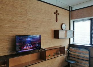Сдаю квартиру студию, 25 м2, Екатеринбург, улица Малышева, 21/4