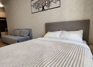 Квартира в аренду студия, 29.6 м2, Екатеринбург, улица Айвазовского, 52