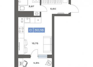 Продается квартира студия, 30.2 м2, Тюменская область, переулок Радищева, 17