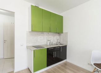 Сдам в аренду квартиру студию, 25 м2, Тюмень, Полевая улица, 117к1, ЖК Озёрный Парк