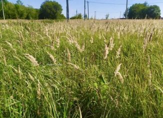 Продаю участок, 10 сот., село Лямбирь