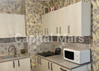 Сдается в аренду 1-ком. квартира, 37 м2, посёлок Парголово, Заречная улица, 25
