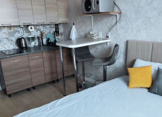 Сдам в аренду квартиру студию, 19 м2, Екатеринбург, Утренний переулок, 7