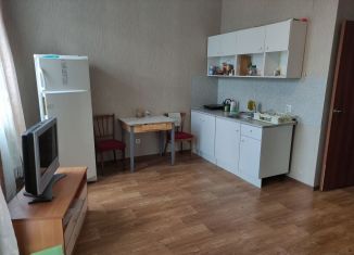 Сдаю в аренду квартиру студию, 26.6 м2, Петергоф, Парковая улица, 20к3с9