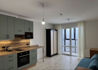 Сдается в аренду квартира студия, 28.1 м2, Петрозаводск, Пробная улица, 15