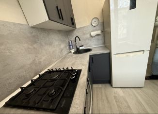 Аренда 2-комнатной квартиры, 44.1 м2, Санкт-Петербург, проспект Ветеранов, 152к3, муниципальный округ Константиновское